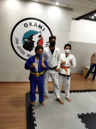 Okami Escola de Artes Marciais