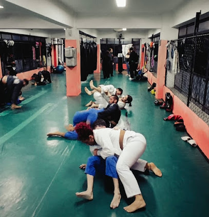 Fight Team