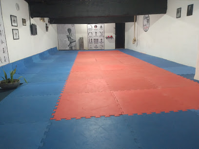 Octopus Jiu Jitsu Club