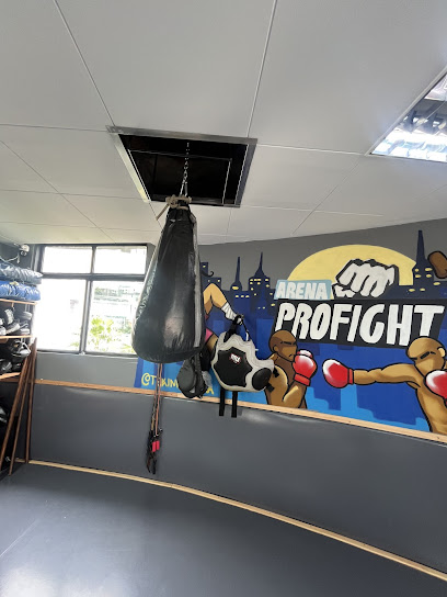 Arena ProFight - Centro de Artes Marciais
