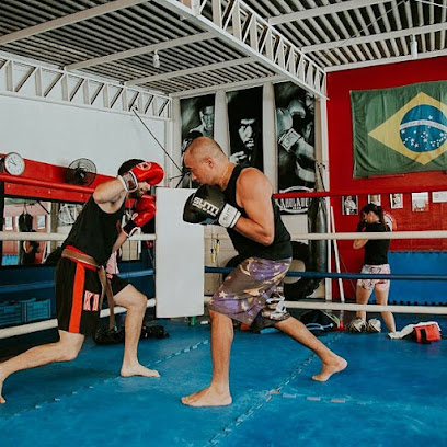 Knockout Academia